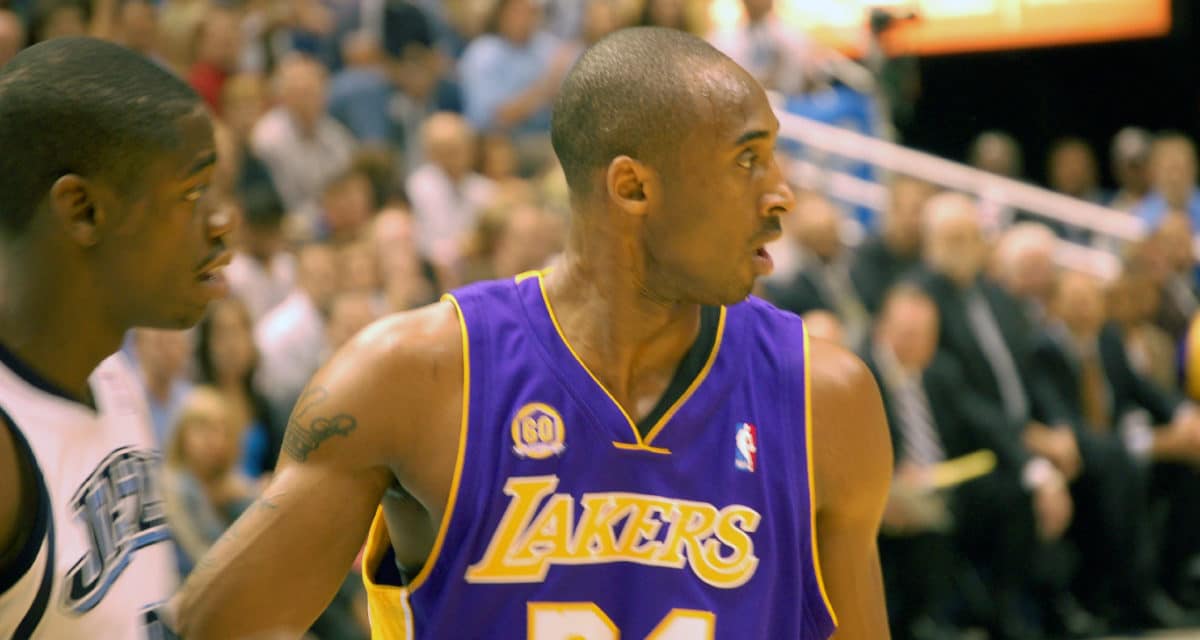 Kobe Bryant's Childhood Basketball Hoop