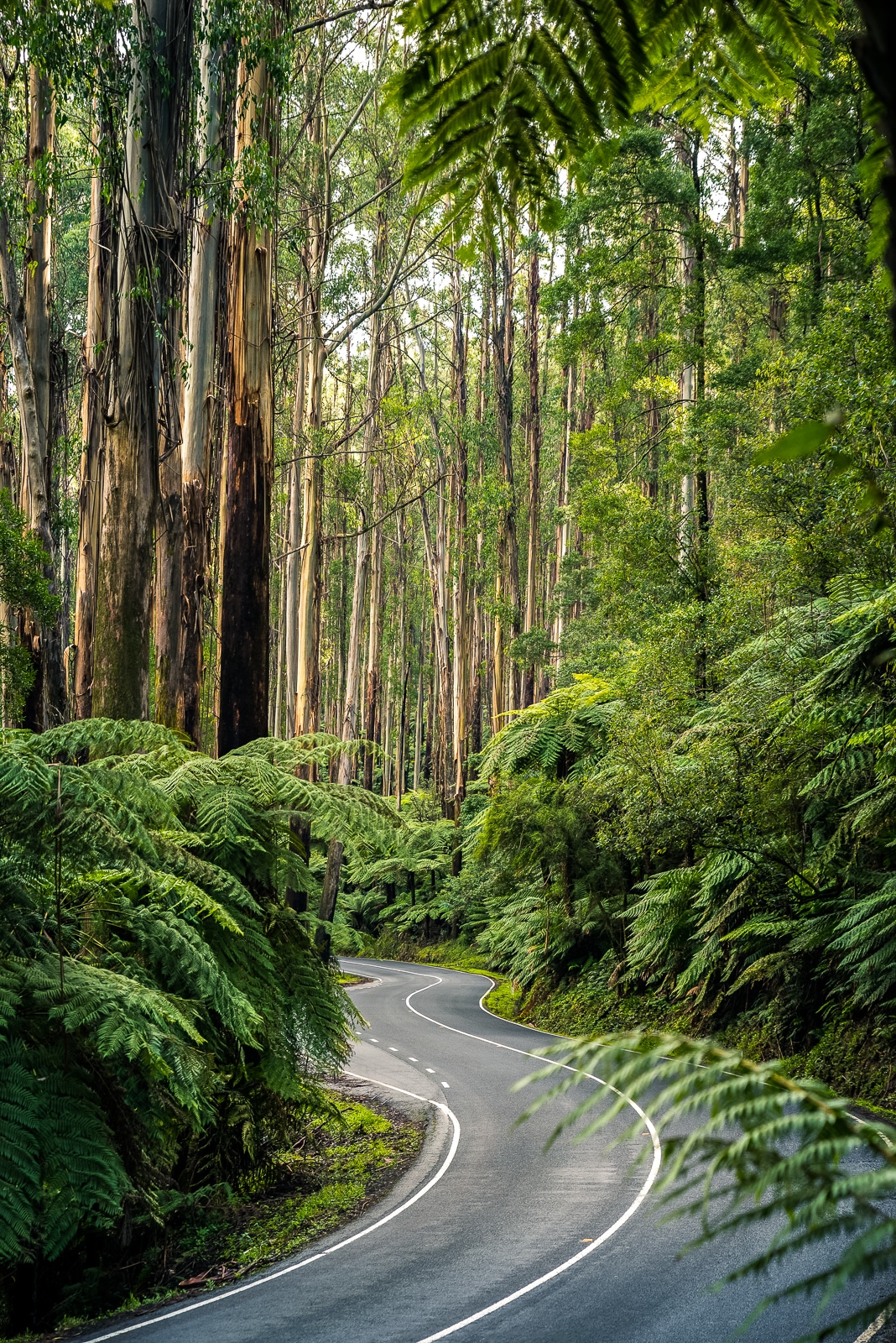 A Weekend Guide To The Yarra Valley