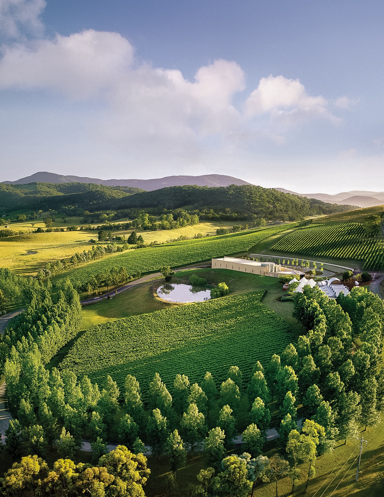 A Weekend Guide To The Yarra Valley