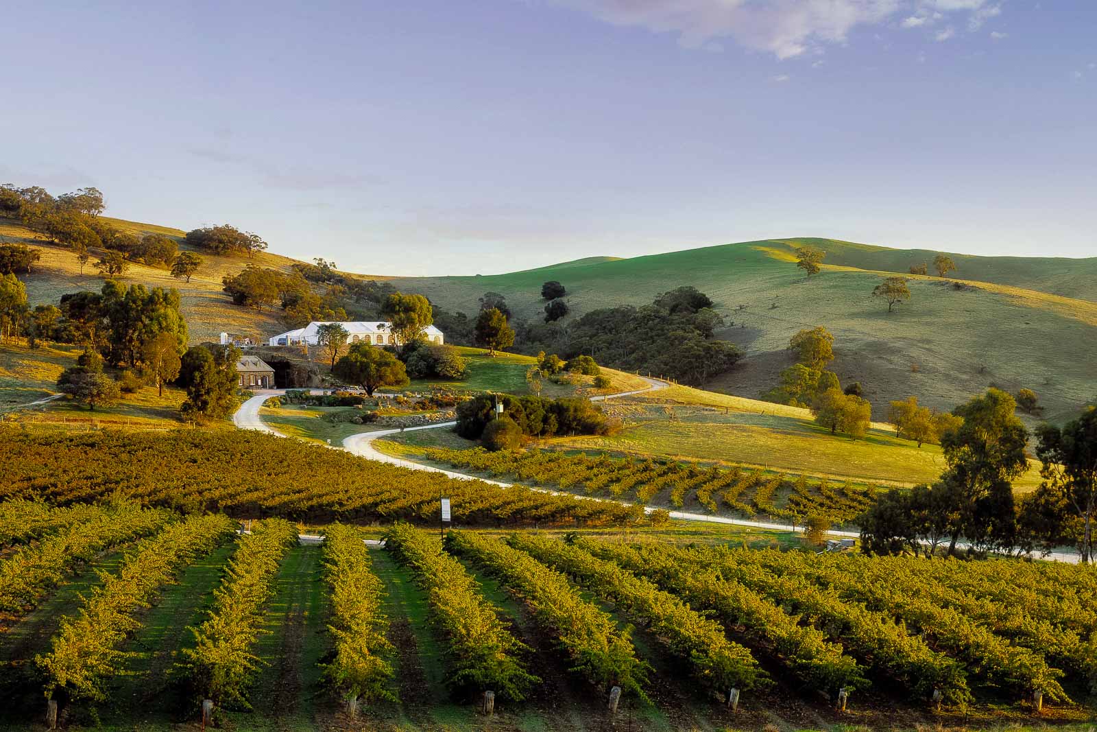 A Weekend Guide To The Barossa Valley