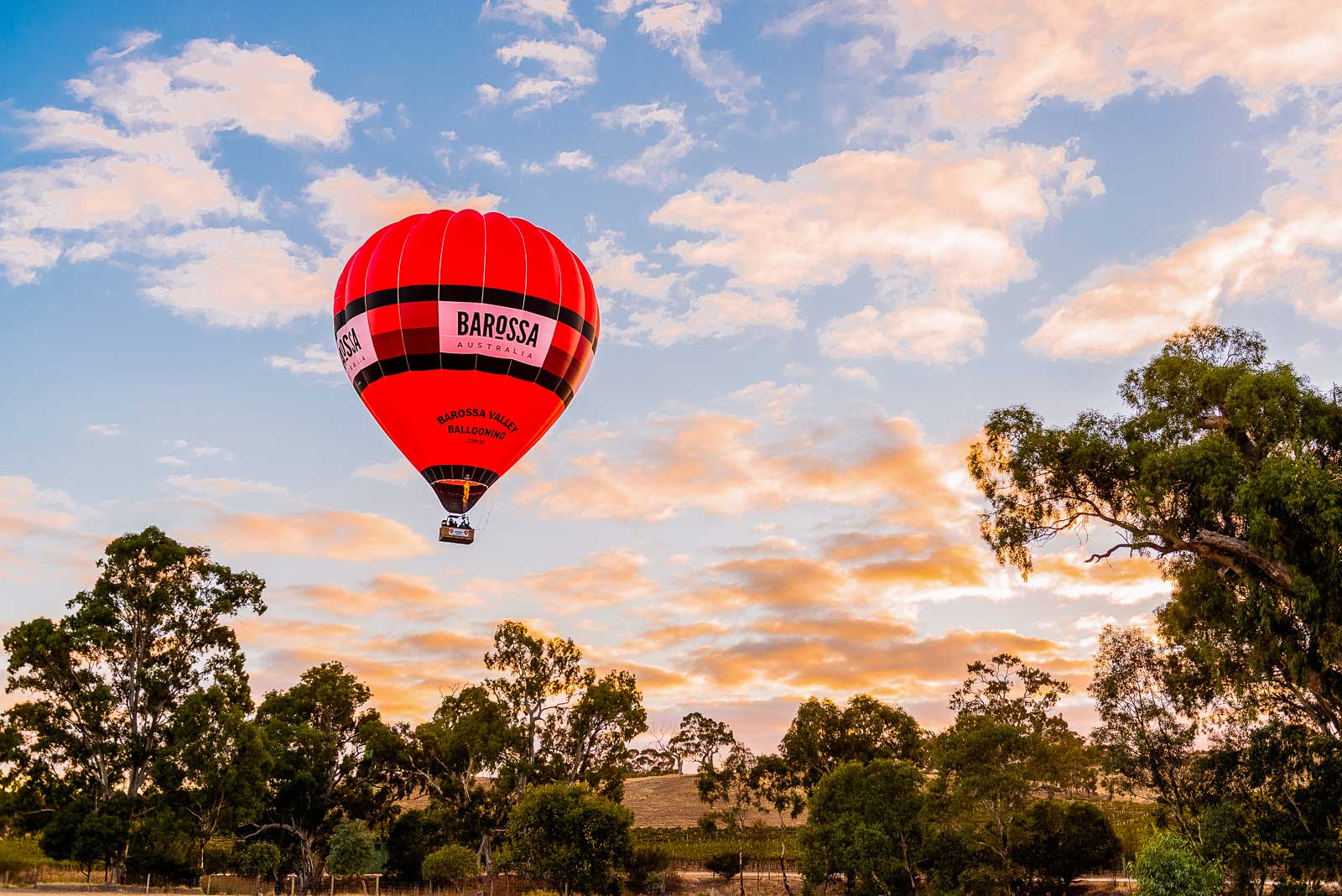 A Weekend Guide To The Barossa Valley