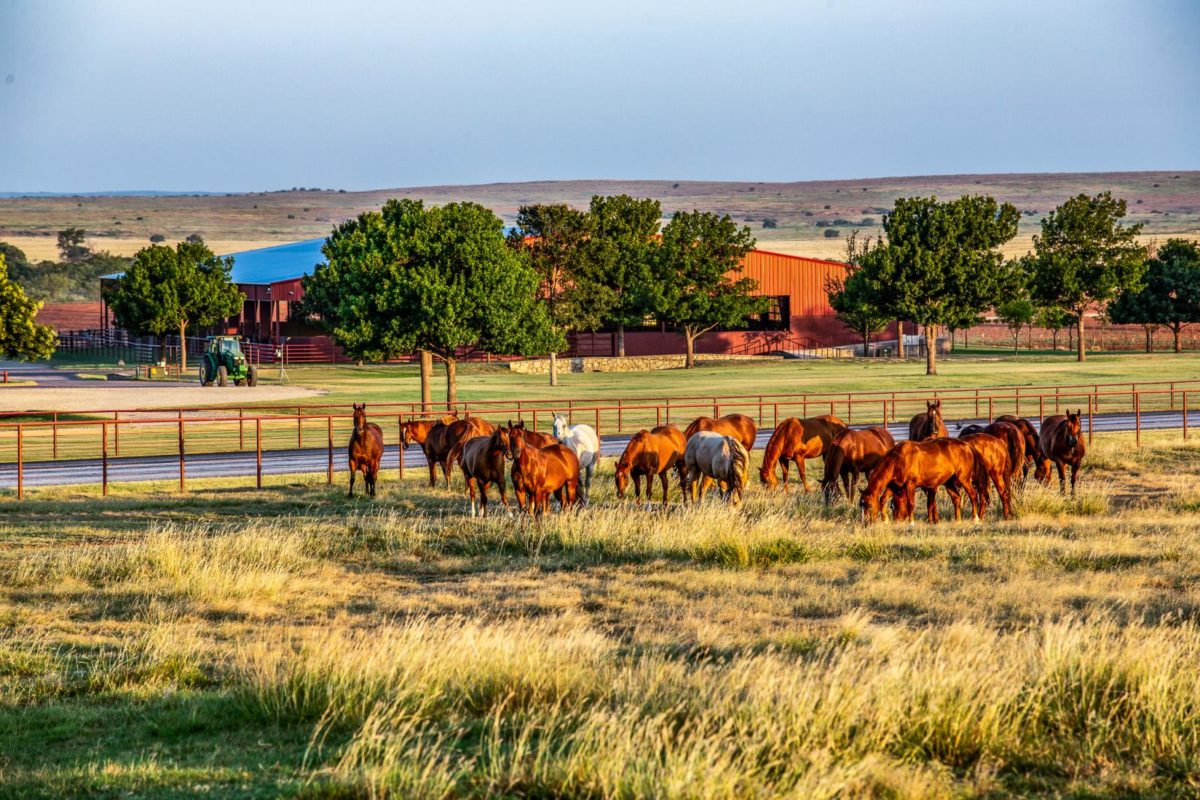 Fancy The &#8216;Yellowstone&#8217; Lifestyle? 6666 Ranches List For $461.2 Million