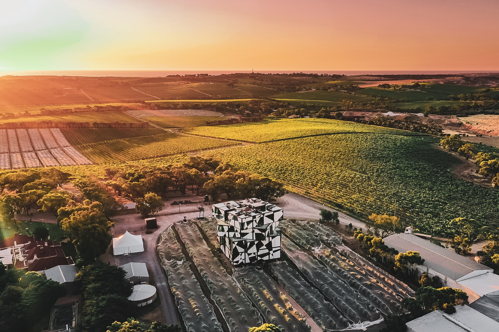 A Weekend Guide To McLaren Vale - Boss Hunting