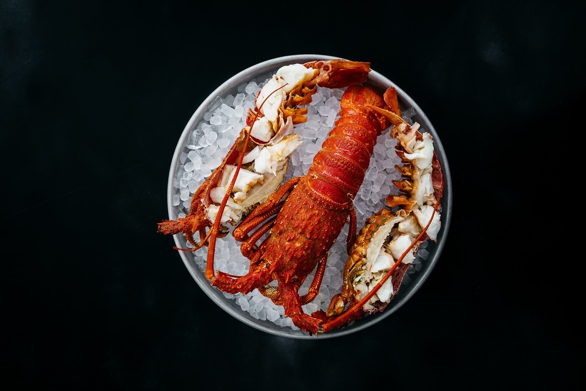 The 5 Best Lobster Recipes To Upgrade Christmas Lunch Boss Hunting