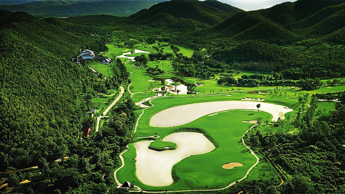 A close up of a lush green hillside