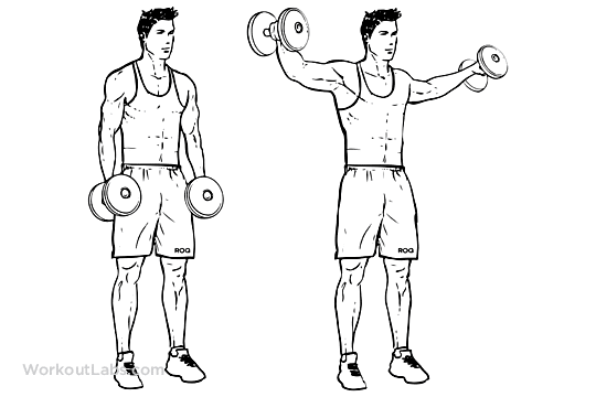 Best Shoulder Exercises  Shoulder Workouts For Men - pushups