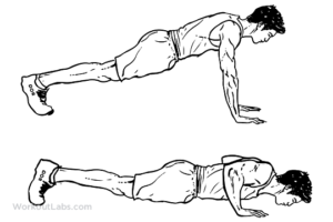 12 Best Shoulder Workouts & Exercises For Men - Boss Hunting