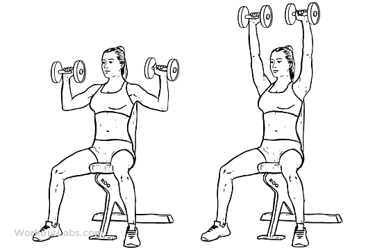 10 Best Shoulder Workouts & Exercises For Men