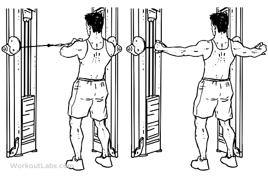 10 Best Shoulder Workouts & Exercises For Men