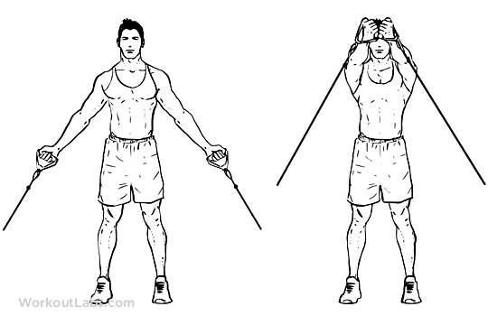 10 Best Shoulder Workouts & Exercises For Men