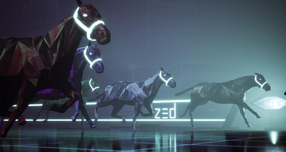 zed run rare coats zed run rare coats