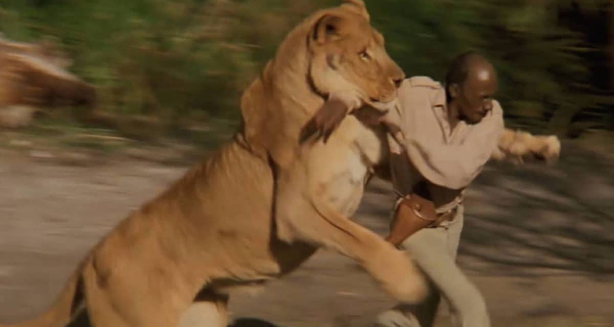 men beat lion fight