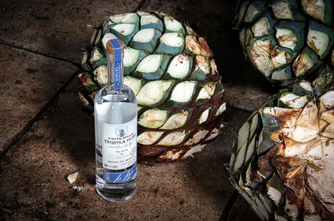 17 Best Tequilas To Make Every Day Cinco De Mayo [2022 Guide]