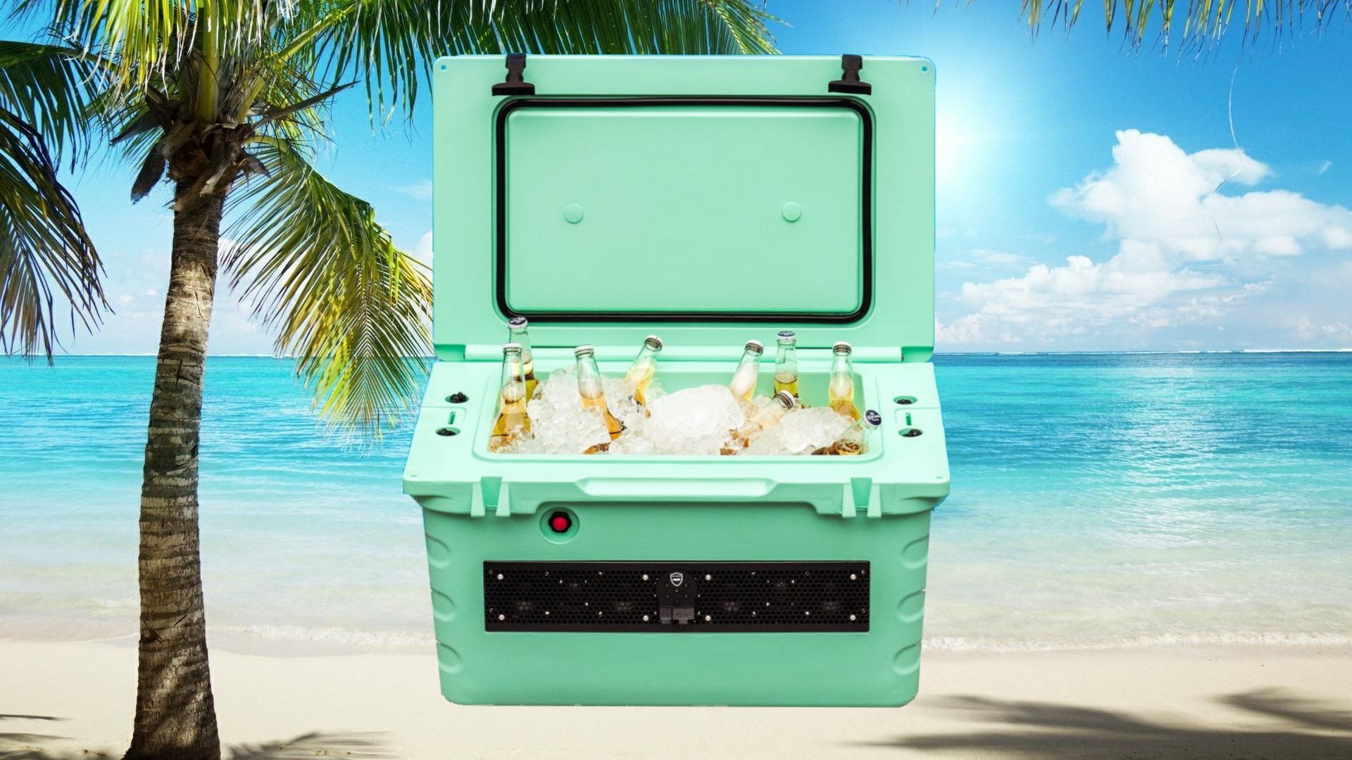 Esky 55 sales