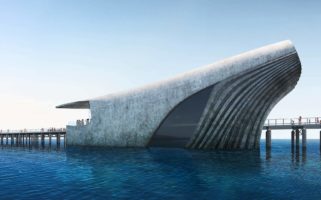 Australia Underwater Discovery Centre The Cetacean