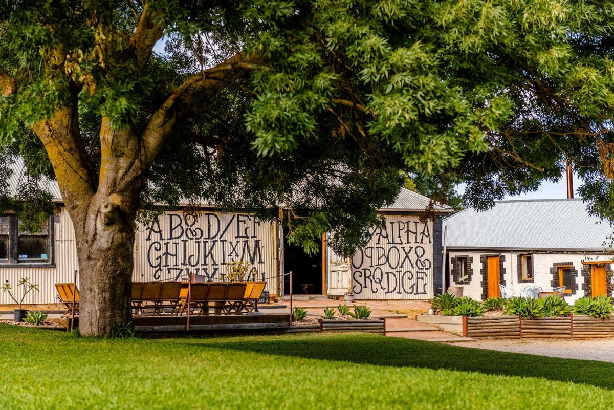 alpha box winery also runs one of the best Australian wine clubs for anyone who loves South Australian wine.