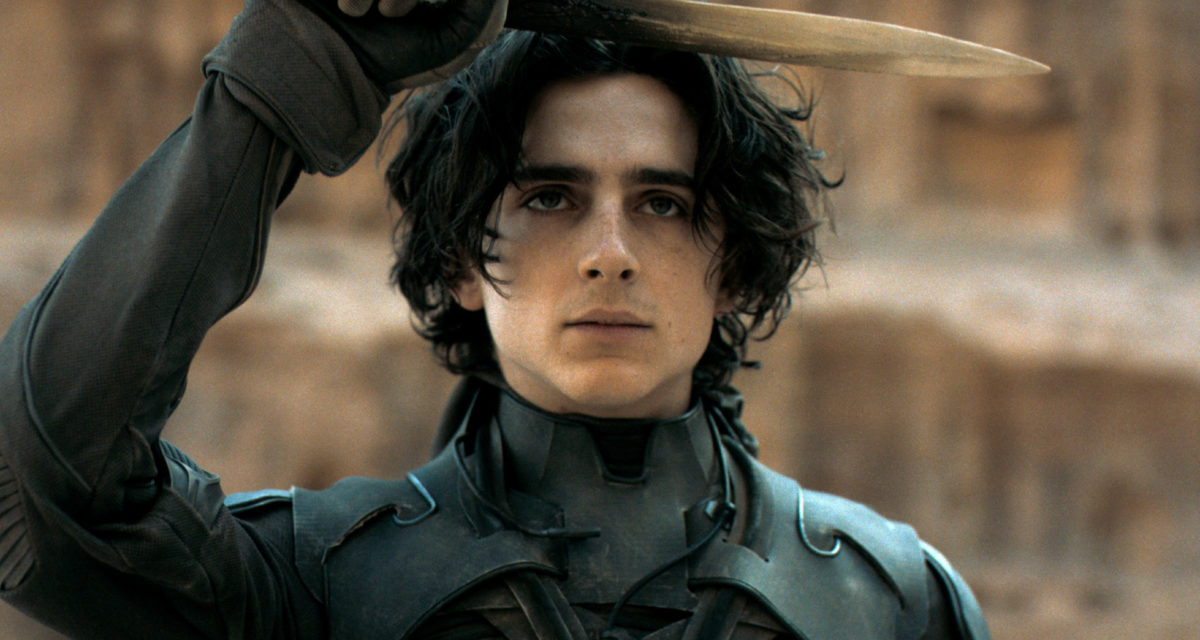 Timothee Chalamet: Acting Greatness In The Making?