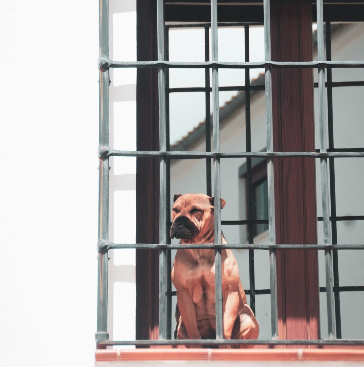 ann fossa HVbVQjOw4pk unsplash