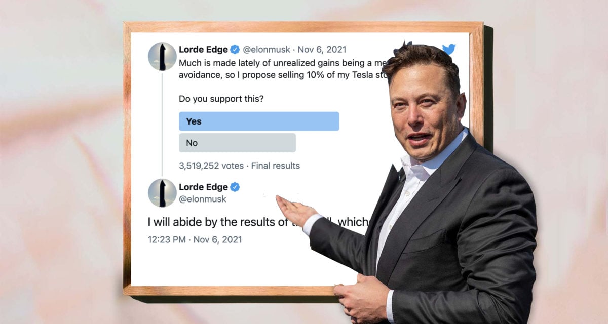 Elon Musk Tesla Shares Twitter