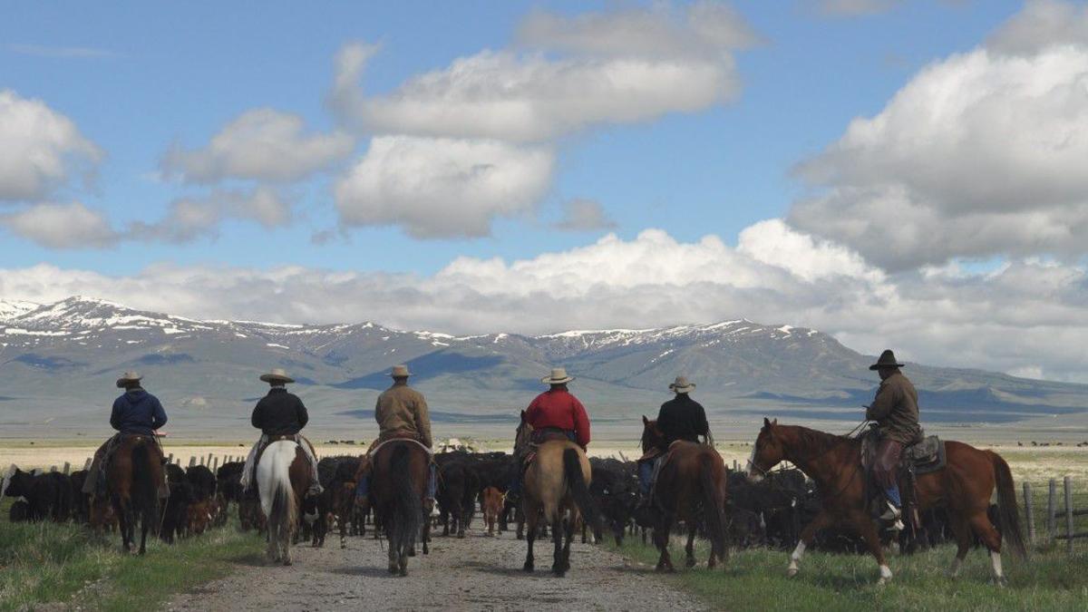 Rupert Murdoch Beaverhead cattle ranch Montana