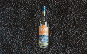 never never distilling co