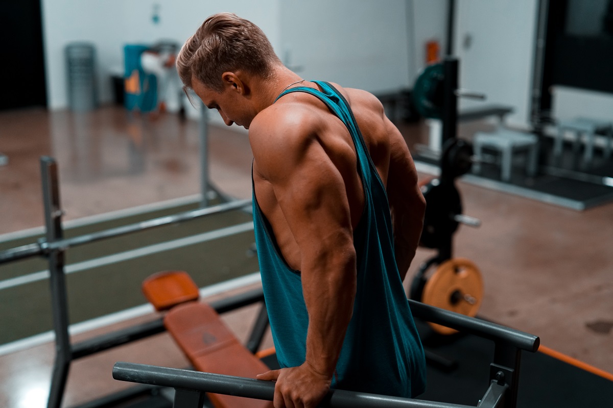 tricep dips