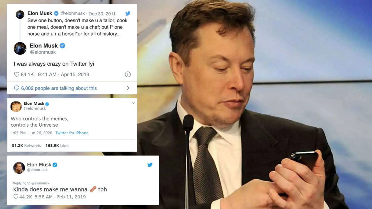 Elon Musk Twitter Largest Shareholder