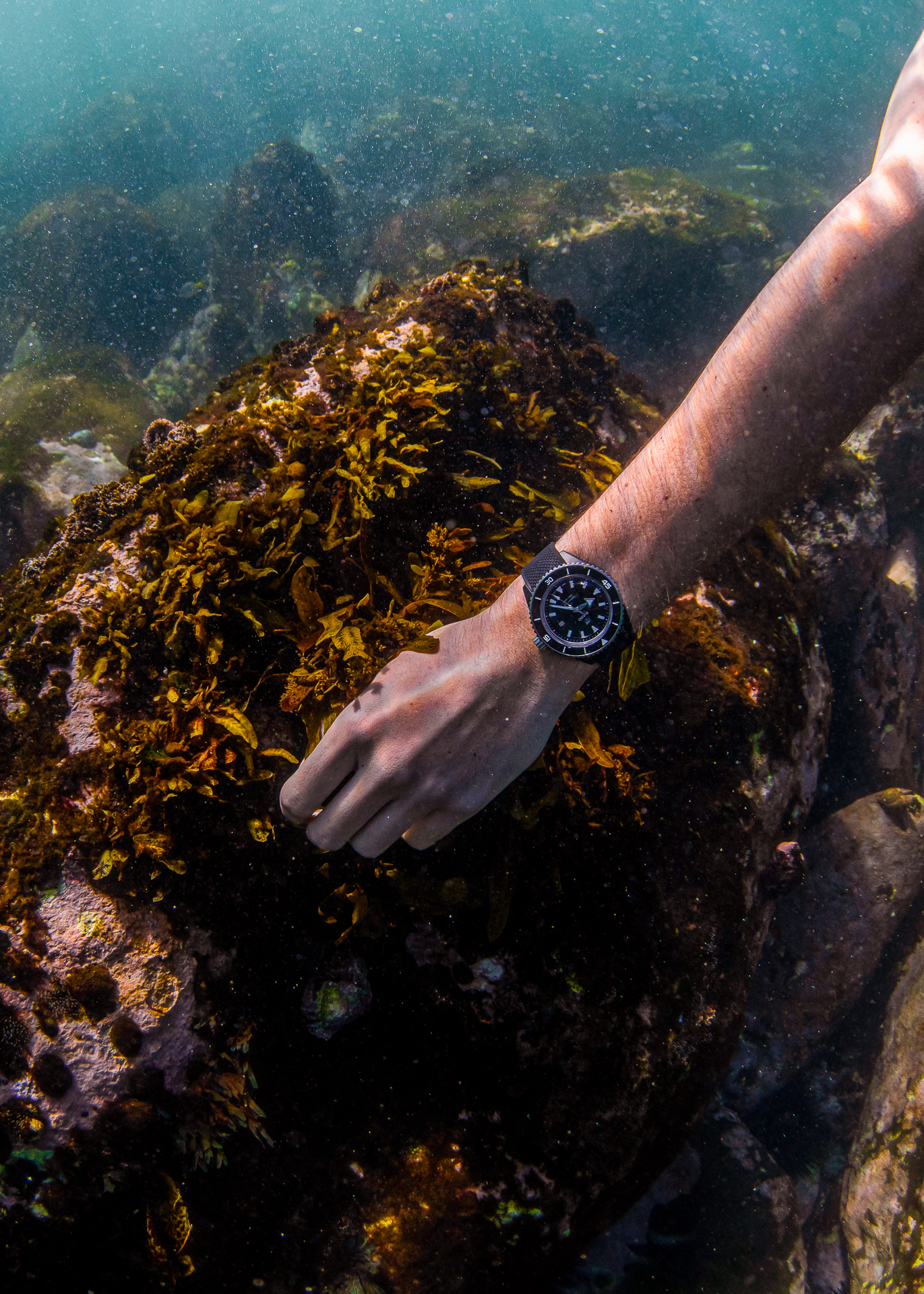 Rado’s Captain Cook HTC Diver Thrives On The Wrist Of Underwater Photographer Piers Haskard