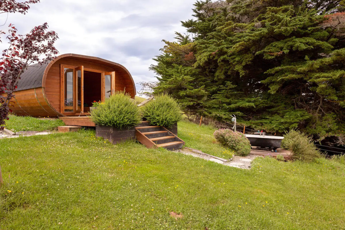 new zealand airbnb