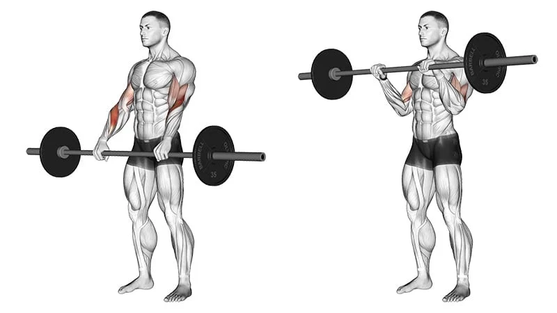 10 Best Forearm Exercises &#038; Workouts For Men
