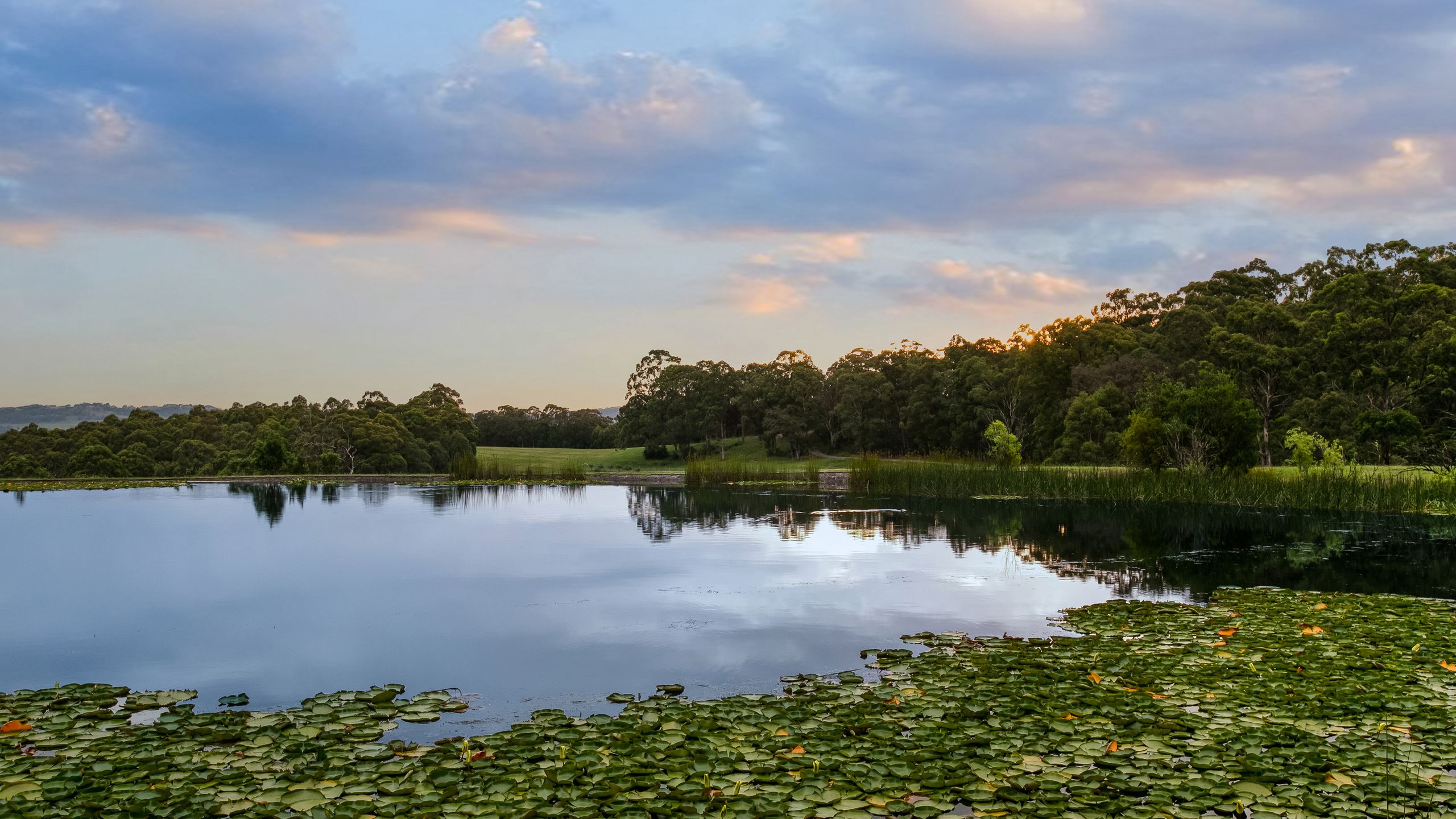 On The Market: Attunga Grove Is Worth Every Last Cent Of Its $15 Million Price Tag
