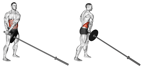 15 Best Ab Workout Exercises For An Easy Washboard Stomach [2022 Guide]