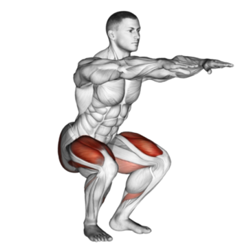 15 Best Ab Workout Exercises For An Easy Washboard Stomach [2022 Guide]