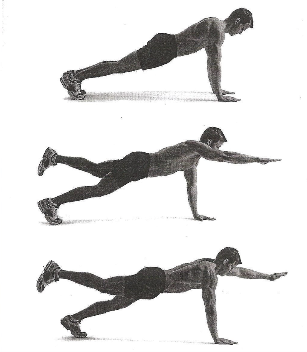 15 Best Ab Workout Exercises For An Easy Washboard Stomach [2022 Guide]