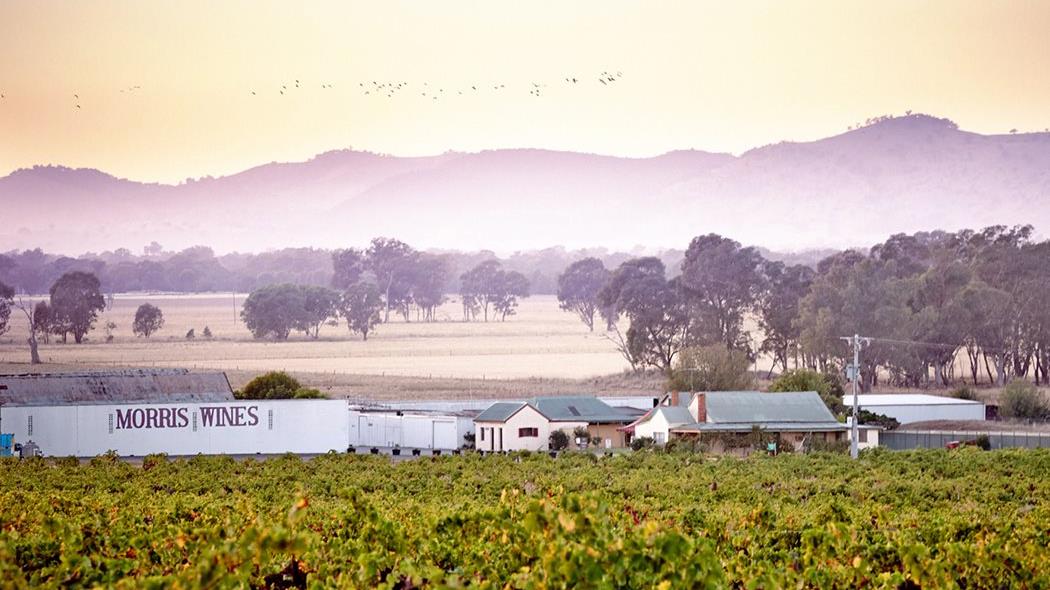 Best Wineries in Australia have been named