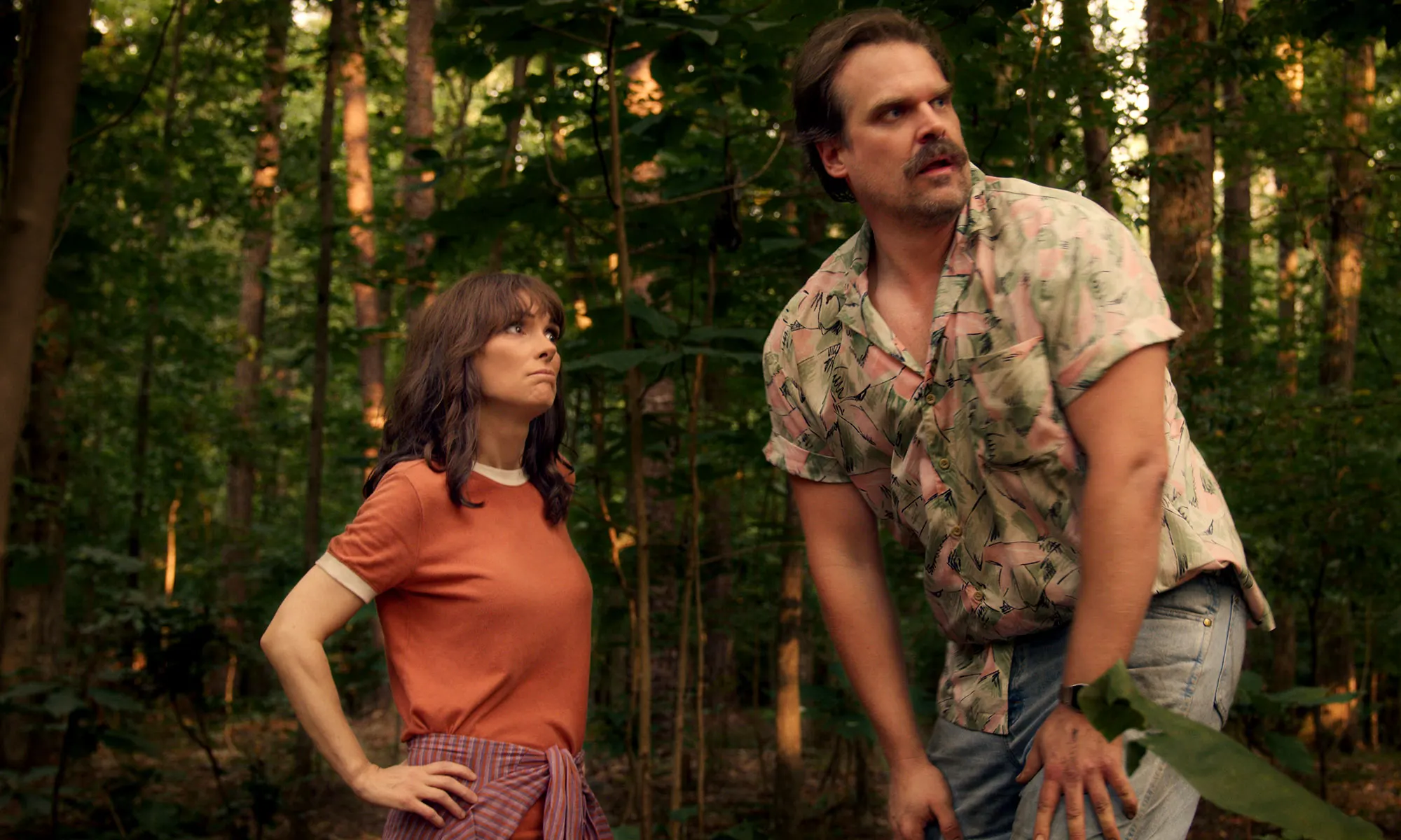 Stranger Things David Harbour Winona Ryder Salary Net Worth 2025