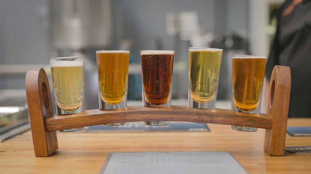 16 Best Breweries In Brisbane Right Now [2022 Guide]