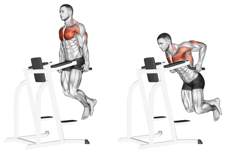 16 Best Chest Exercises & Workouts For Men Boss Hunting