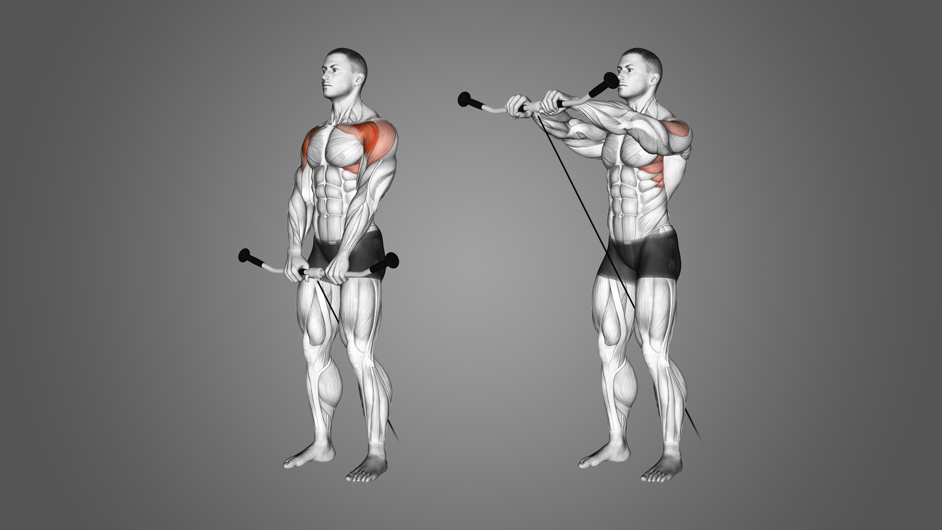 12 Best Shoulder Workouts & Exercises For Men Boss Hunting