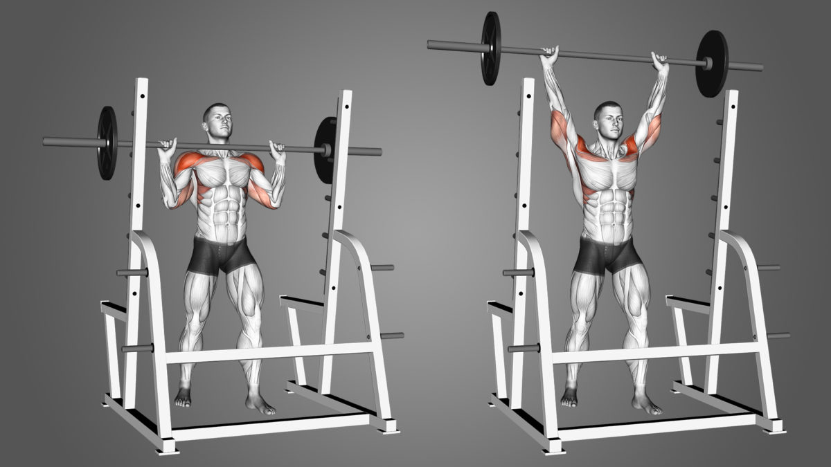 12 Best Shoulder Workouts & Exercises For Men Boss Hunting