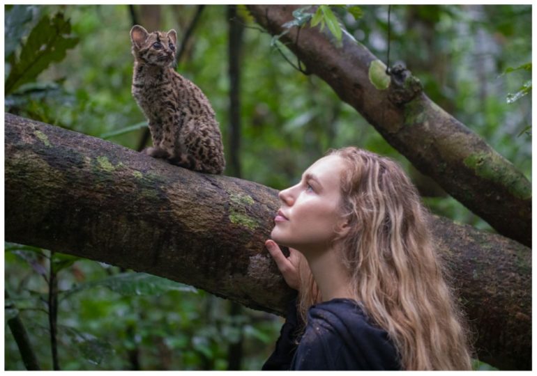 What's New On Amazon Prime Video Australia In January 2023?