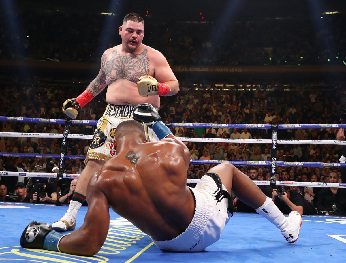 Tyson Fury Next Fight: Andy Ruiz Jr?