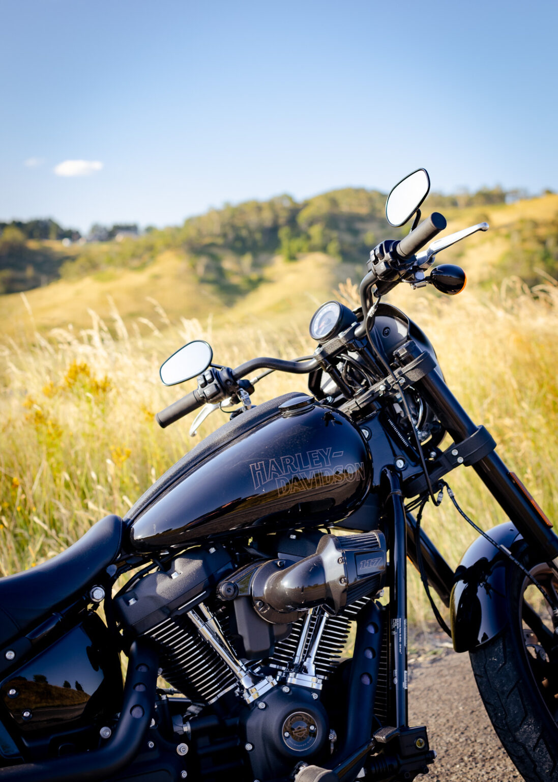 Harley-Davidson Low Rider S Review: The Brand Epitomised
