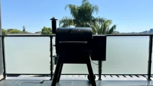 Traeger Pro 575 Review: A Backyard Hero This Summer