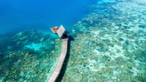 Wellness Holidays Are In — This Luxe Indonesian Resort Offers The King Of Them All