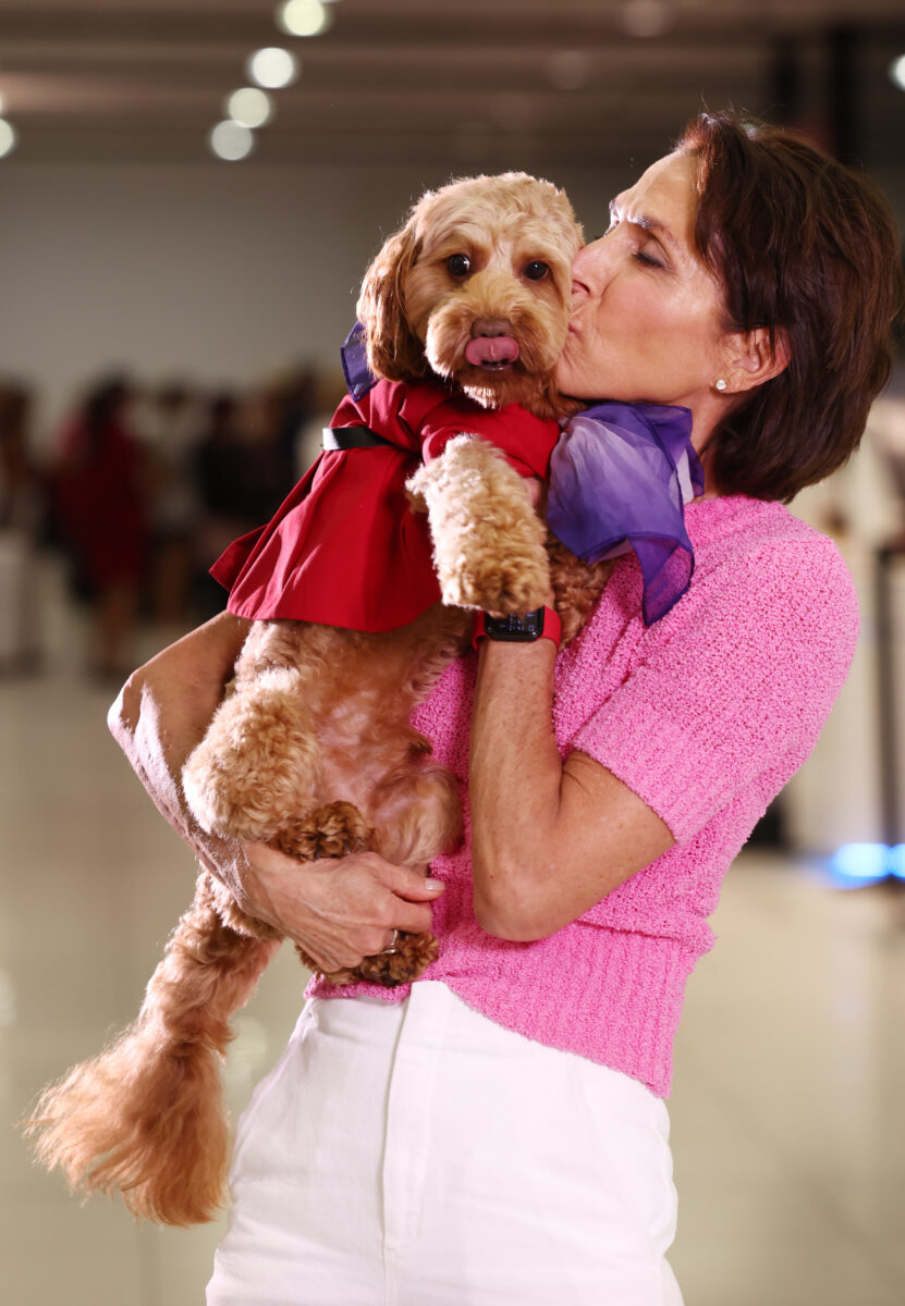 virgin australia pet