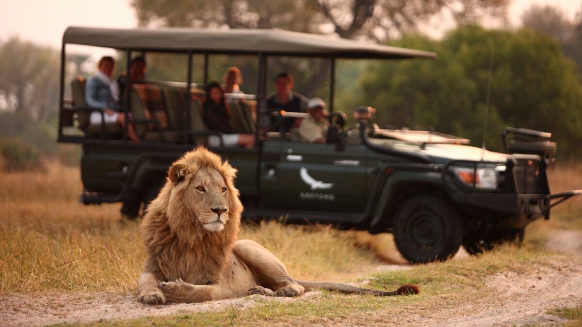 Game Of Life: A Hemingway-Esque African Safari