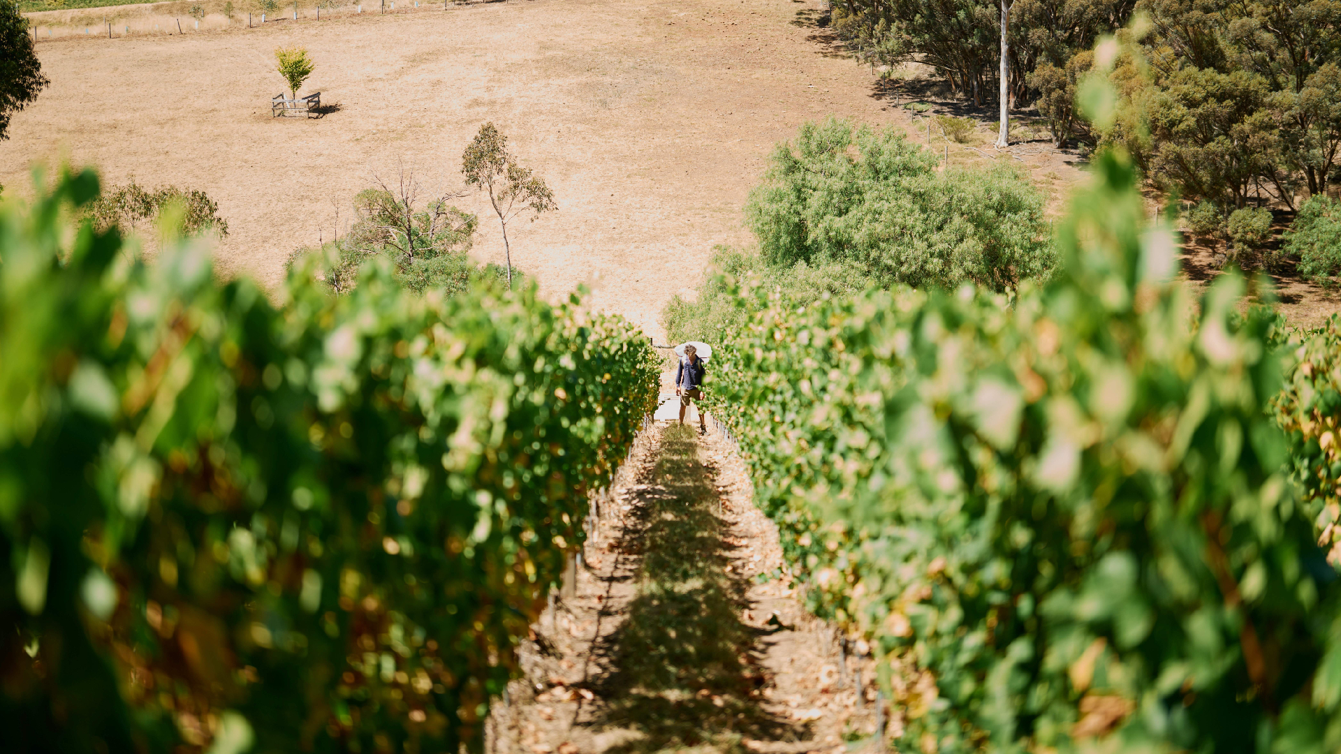 The Best Wineries In Australia Have Been Crowned For 2025