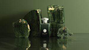 cosy fragrances