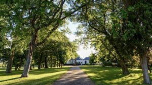 On The Market: The Private Tassie Golf Course Loved By Billionaires